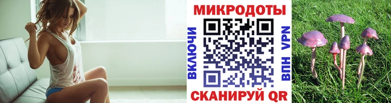 сколько стоит Новомичуринск Галлюциногенные грибы Psilocybine cubensis